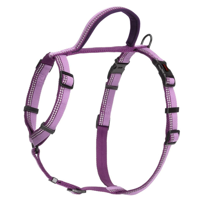 Halti violet chien de marche harnais grand